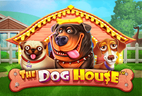 Dog House